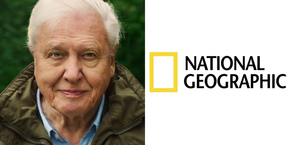 david attenborough national geographic