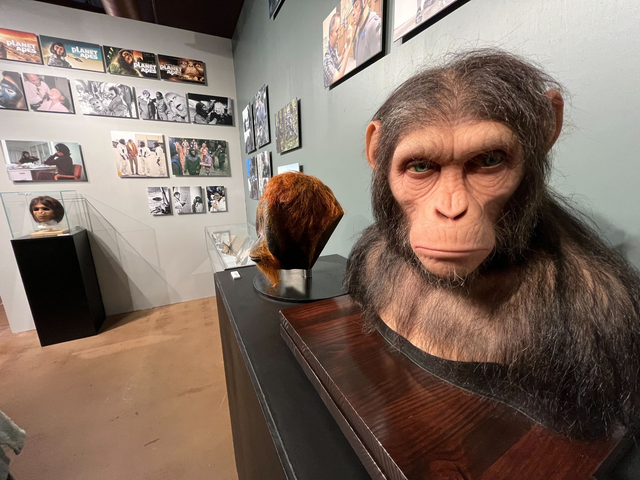 planète singes sdcc