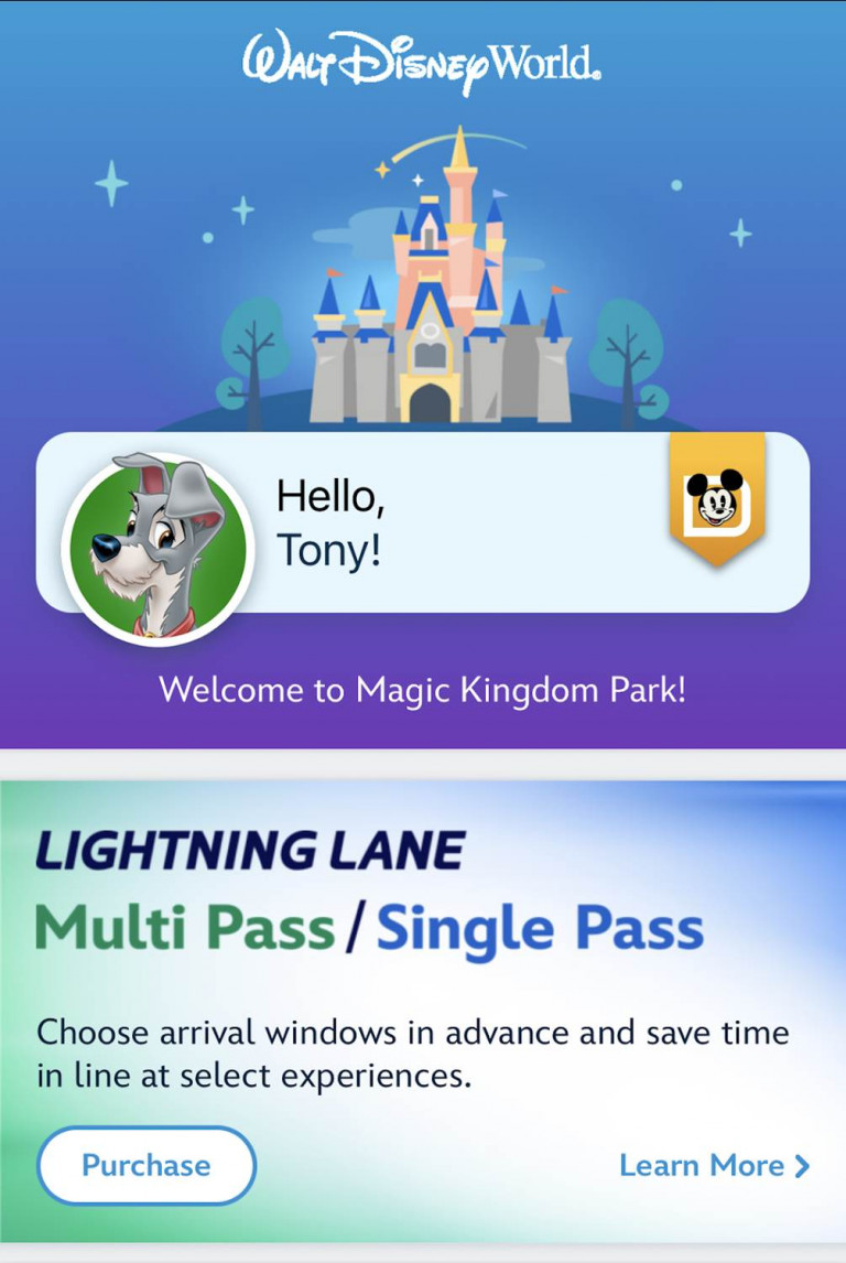 lightning lane walt disney world 01