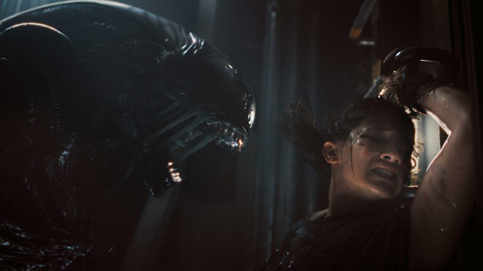 démarrage alien romulus box-office