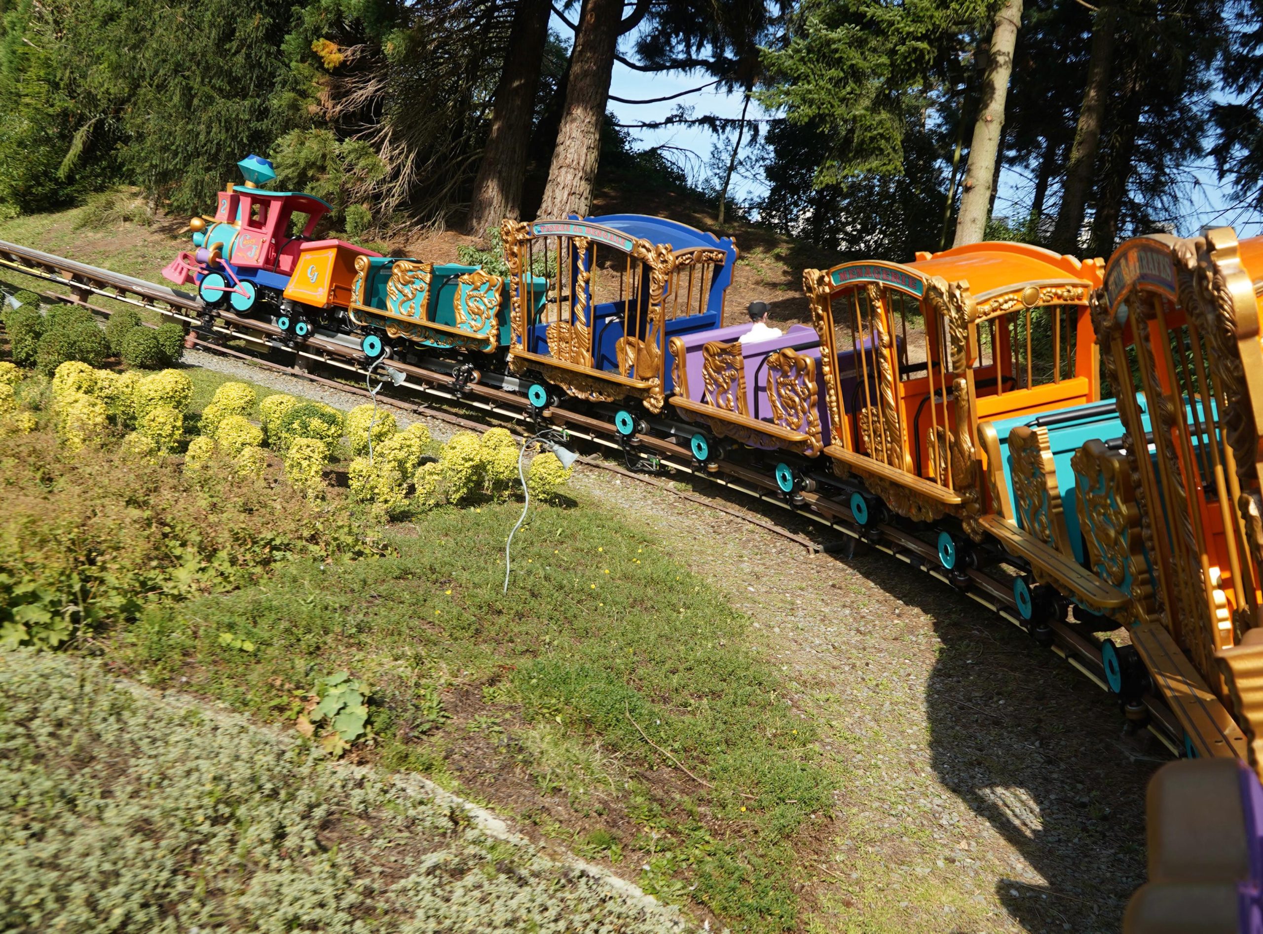 casey jr.