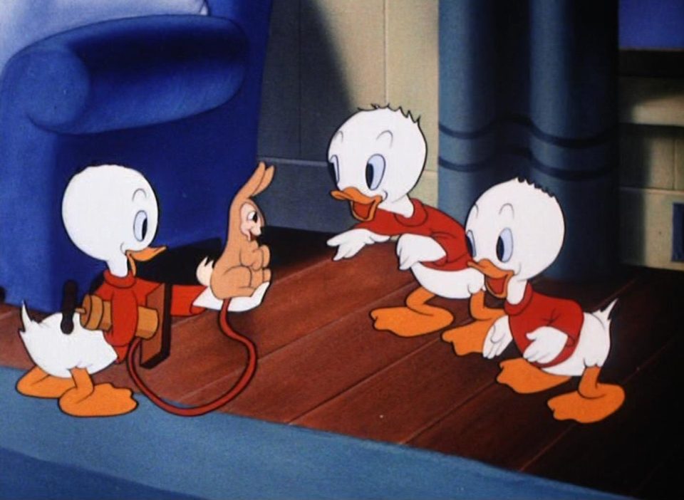 donald est de sortie