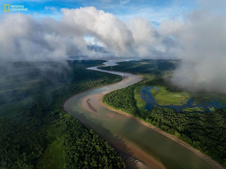 into the amazon 01