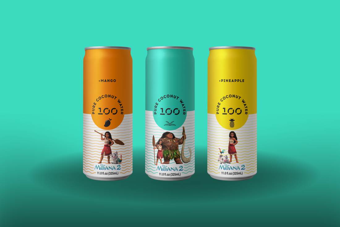 merchandise vaiana 2