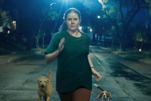 nightbitch amy adams