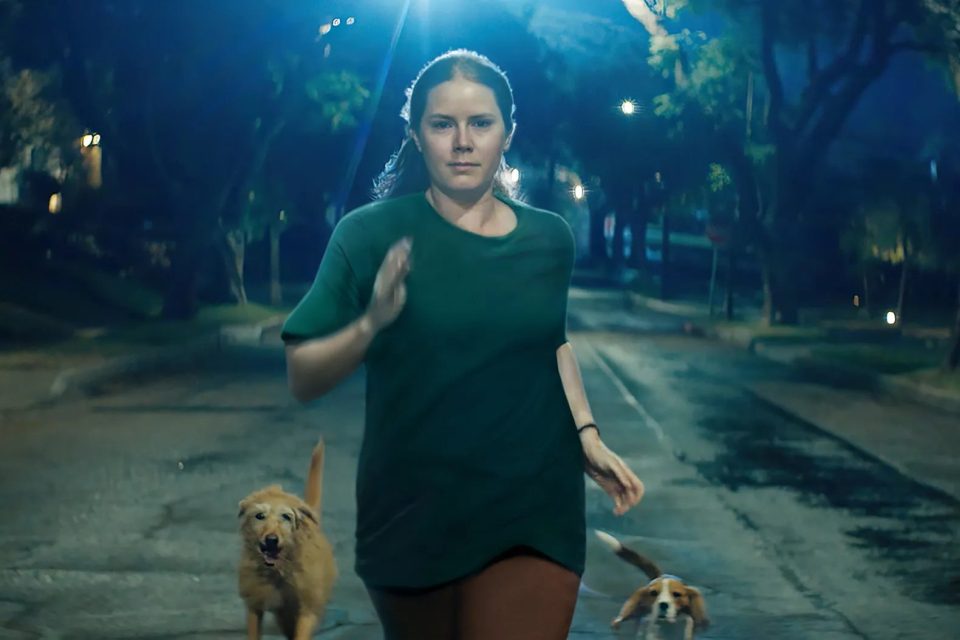 nightbitch amy adams