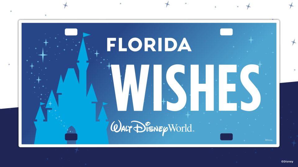plaque immatriculation make-a-wish