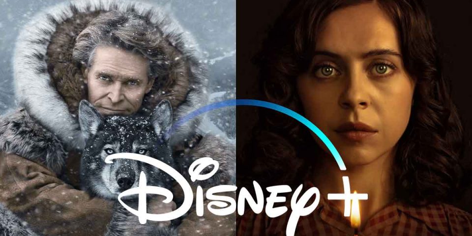 disney+ togo lueur