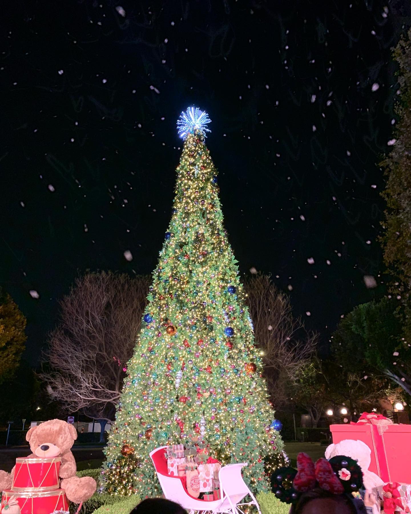 noël d23 studios