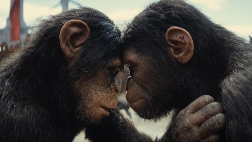 nouveau film planète singes