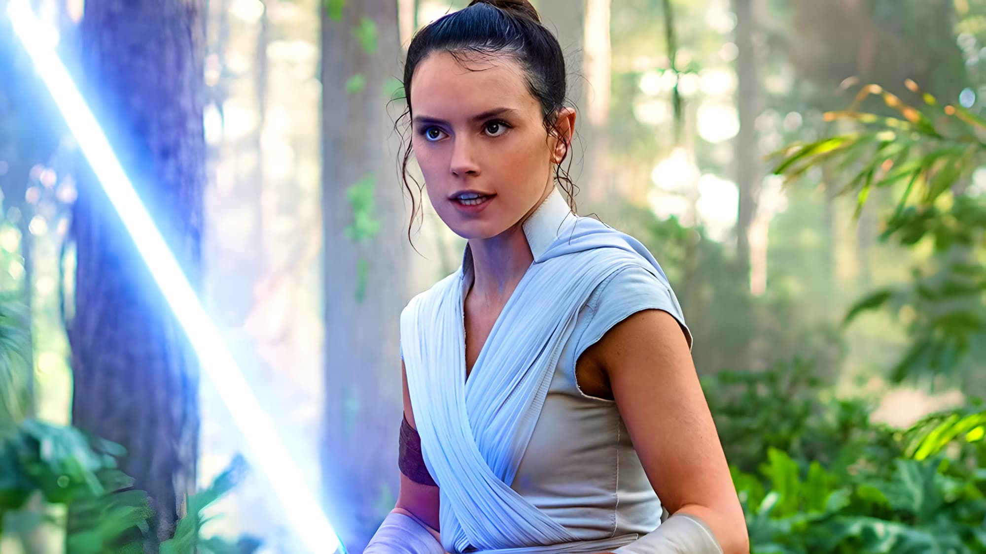 scénariste film rey