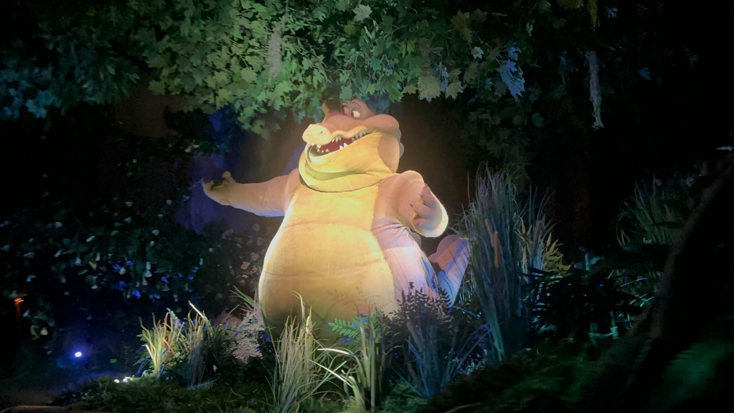 tiana's bayou disneyland