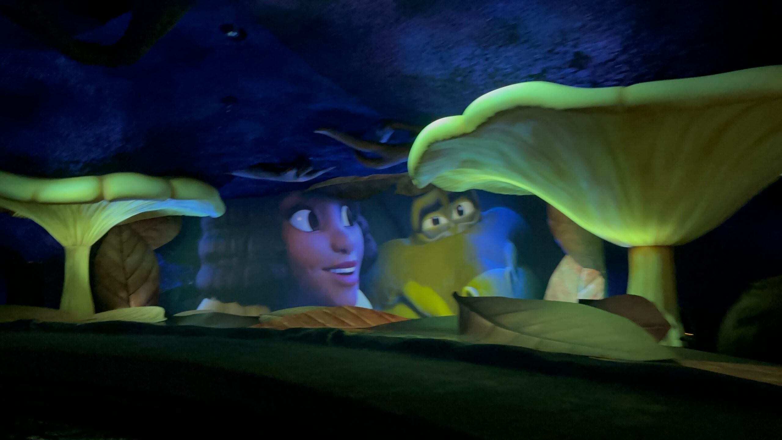 tiana's bayou disneyland