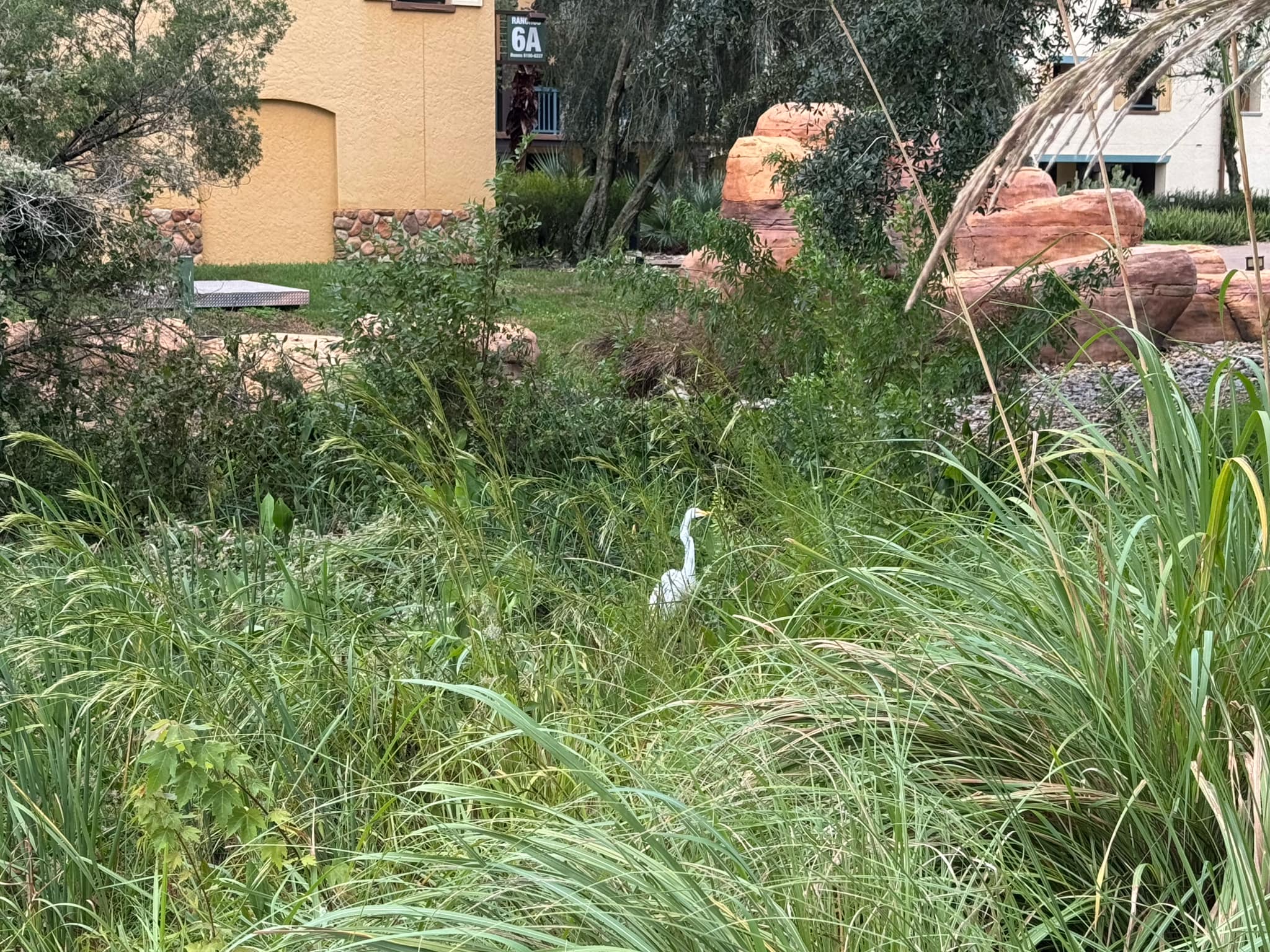 walt disney world milton