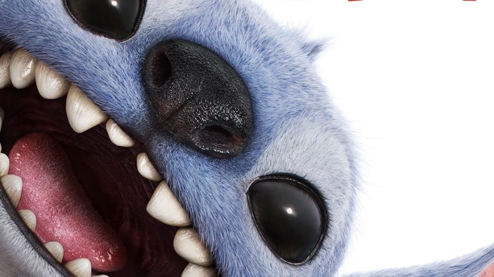 affiche stitch