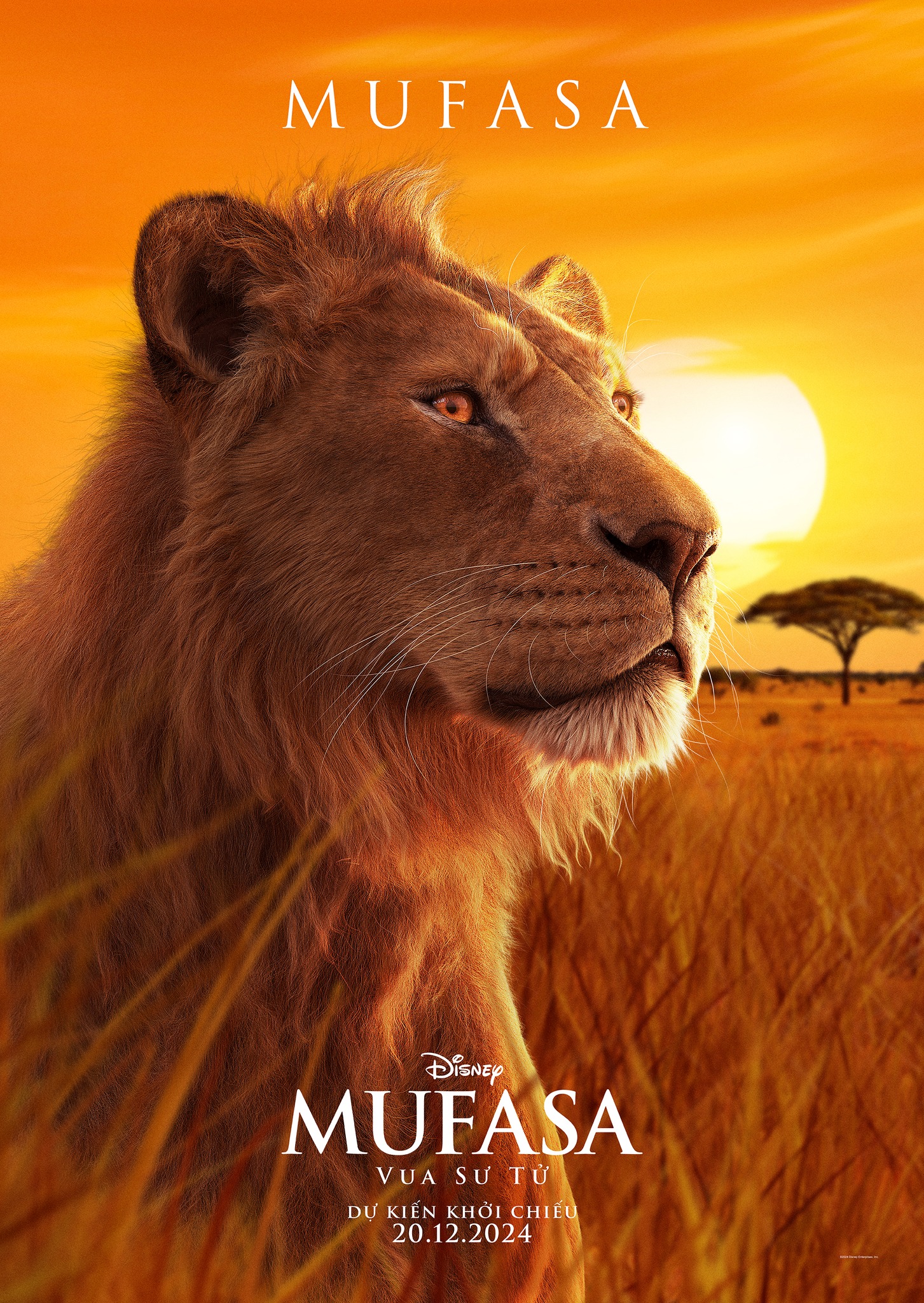 affiches mufasa