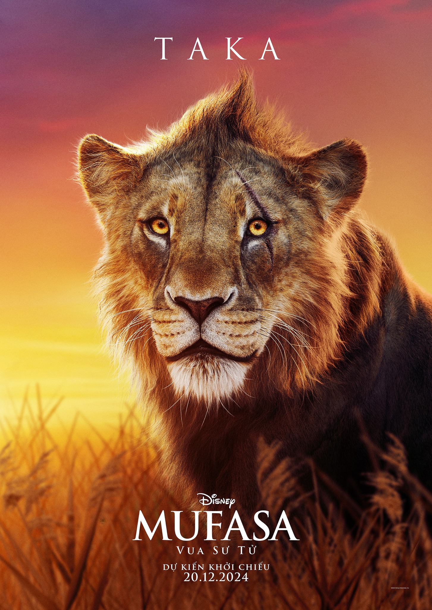 affiches mufasa