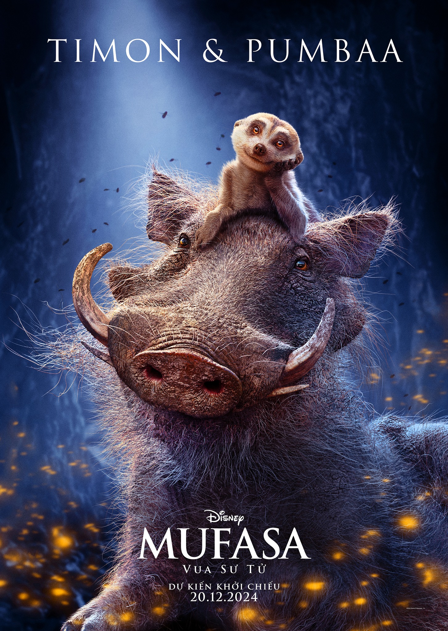 affiches mufasa