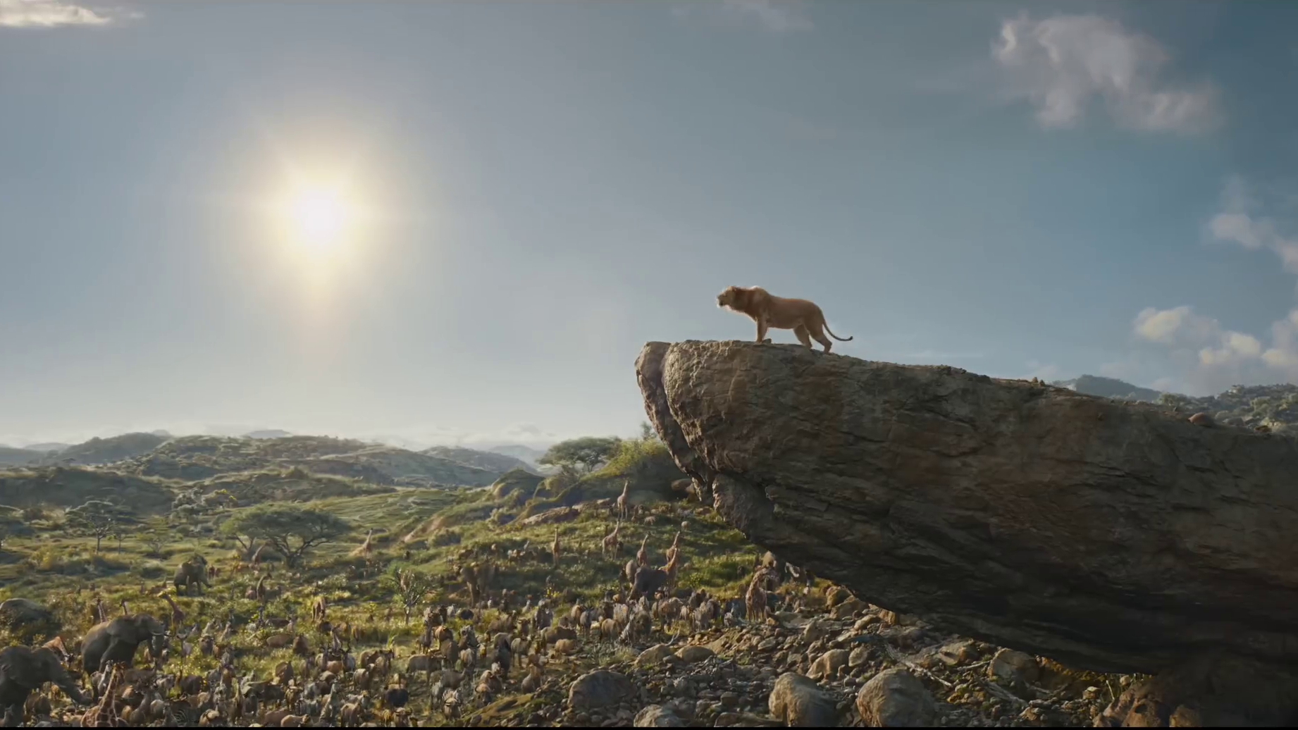 mufasa france