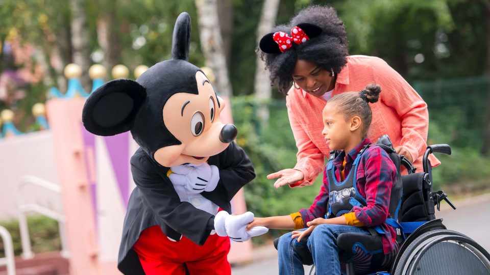 billets disneyland paris handicap