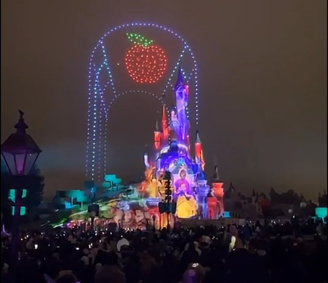 disney electrical changements