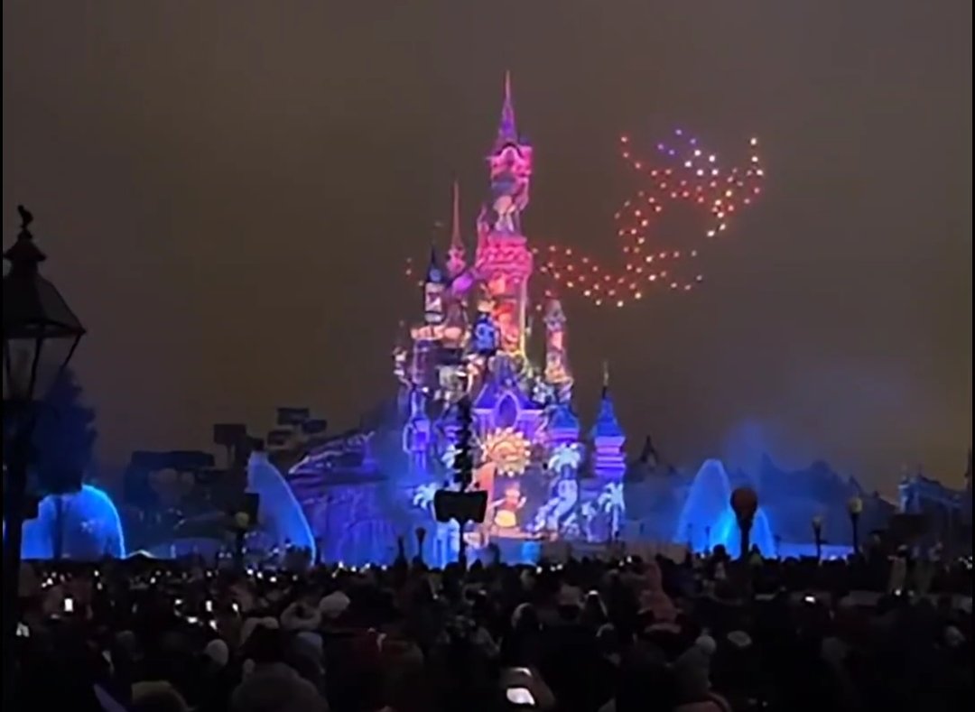 disney electrical changements