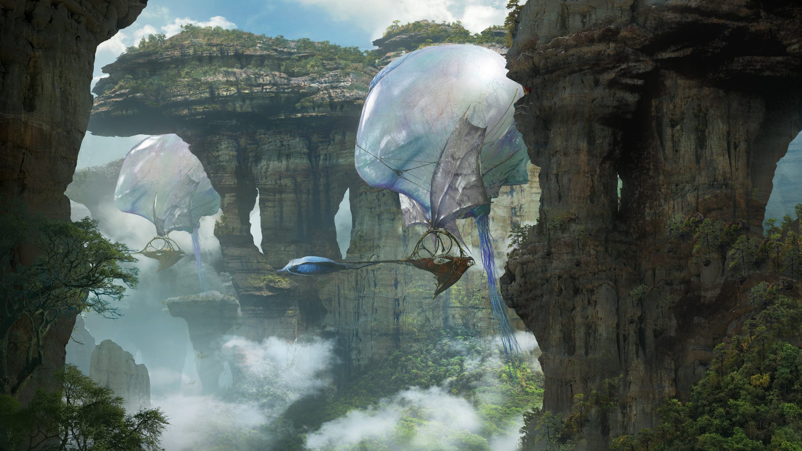 avatar d23 brasil