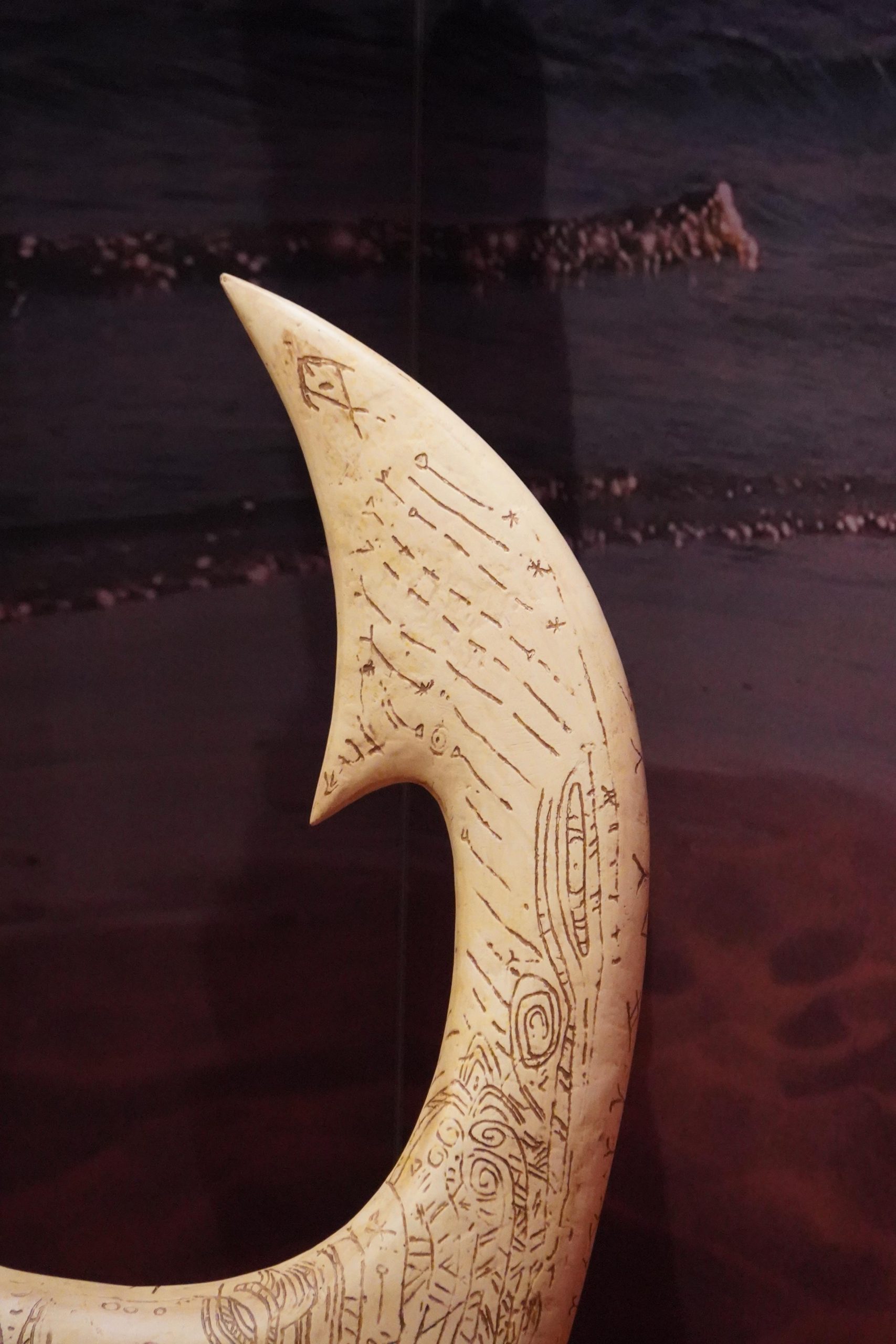 vaiana disneyland paris