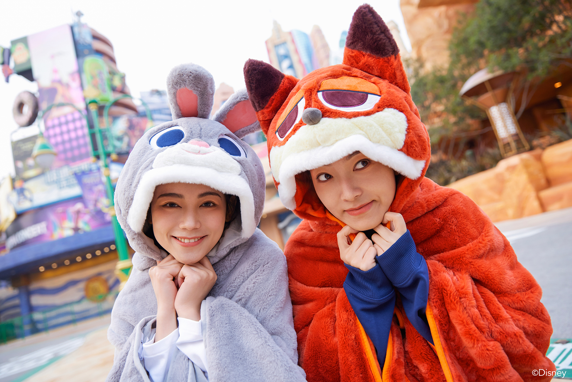 anniversaire zootopia