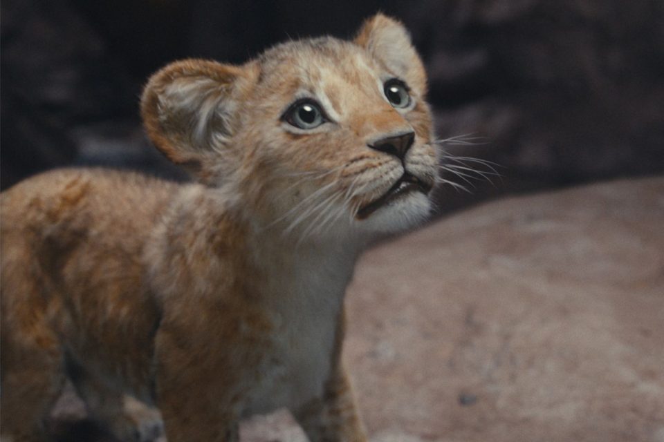 beyoncé mufasa