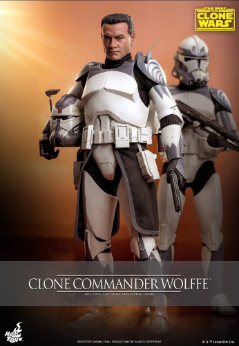hot toys Wolfpack
