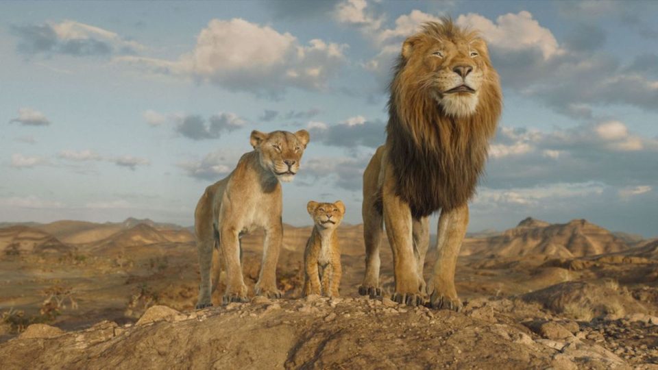 mufasa démarrage