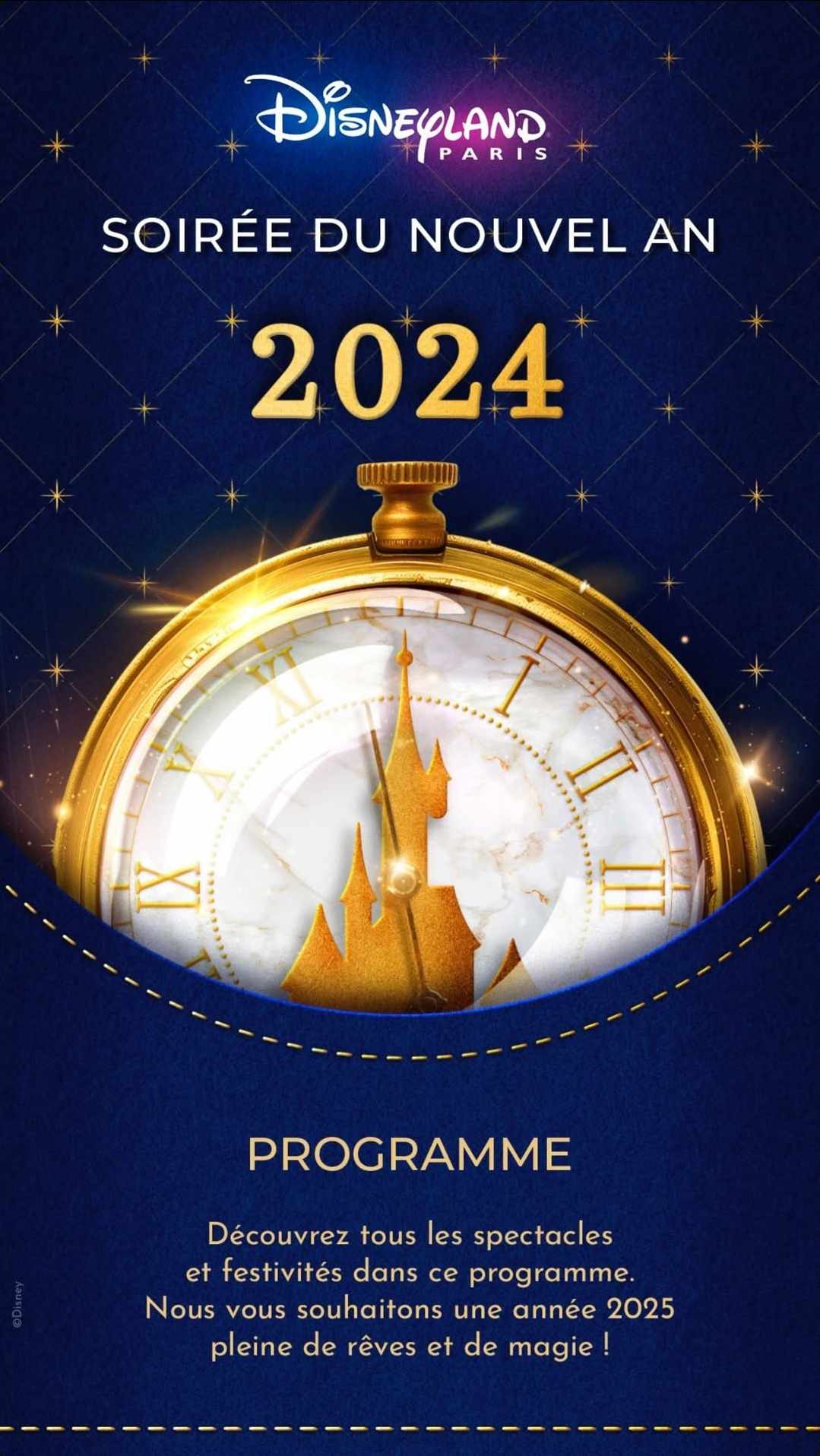 nouvel an 2025 disneyland