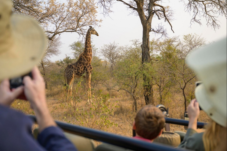 afrique du sud national geographic expeditions 01
