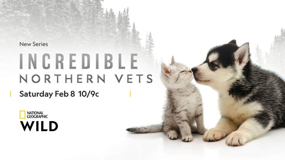 incredible northern vets
