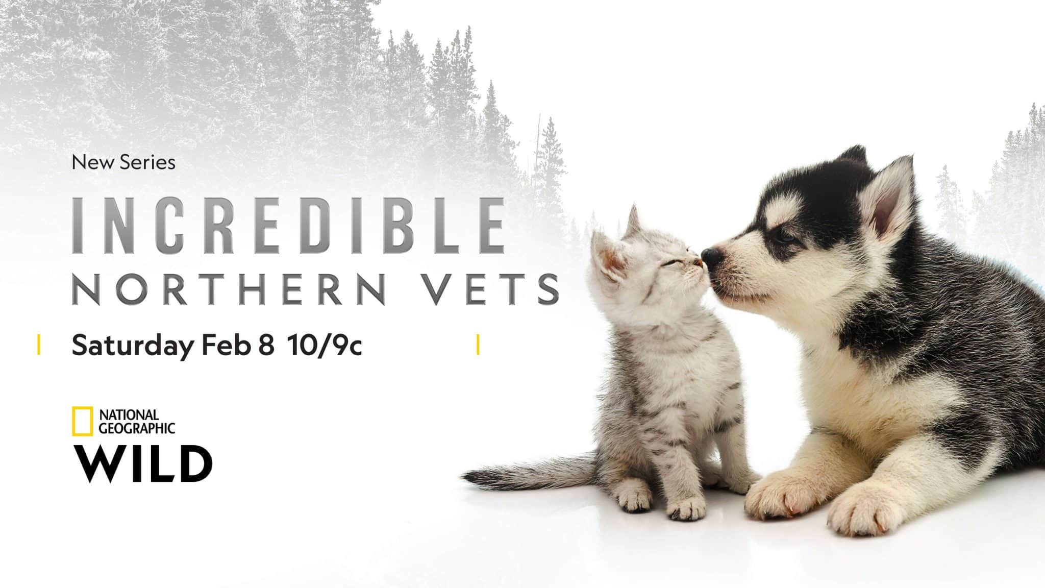 incredible northern vets