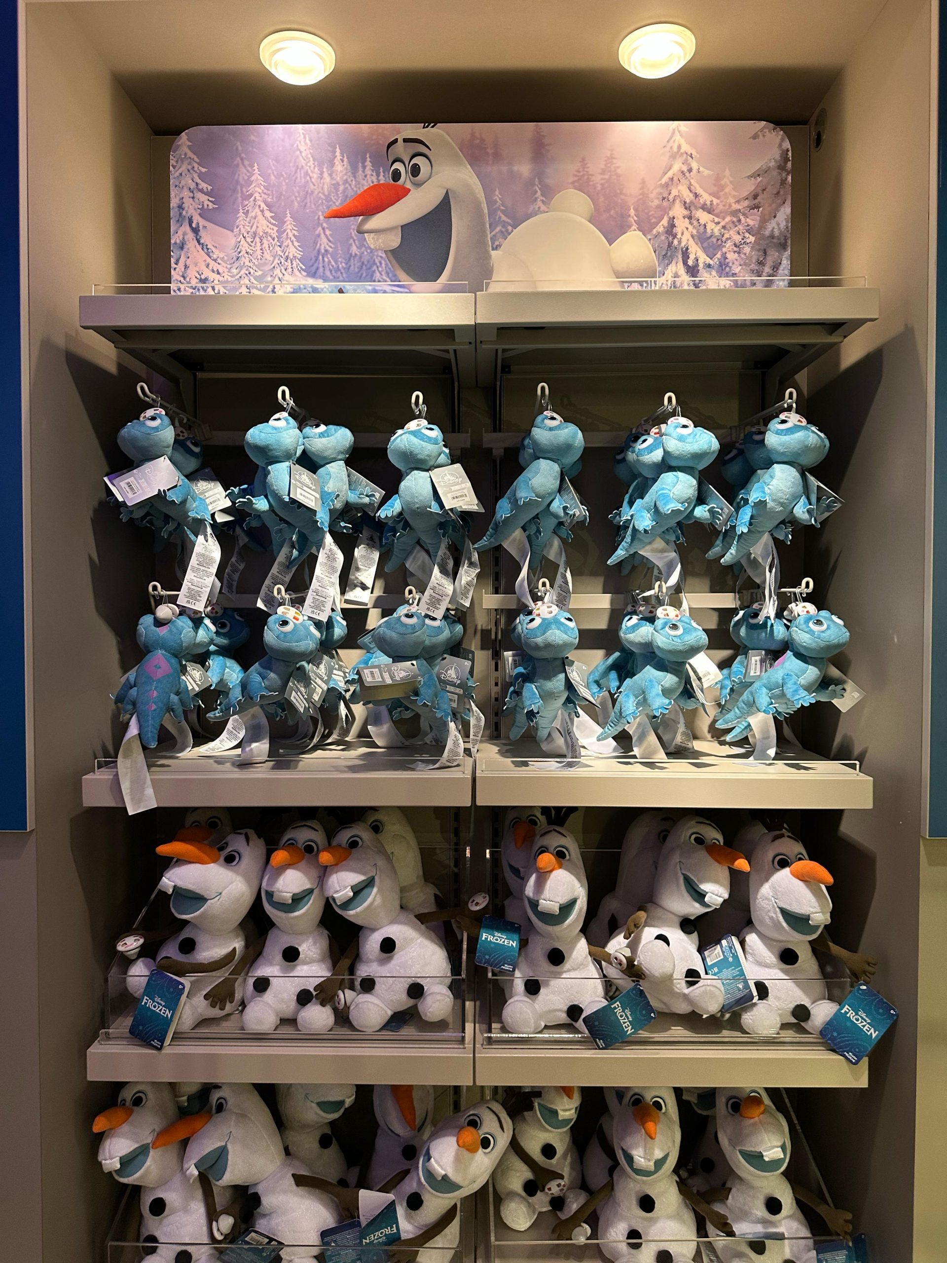 animation celebration changements