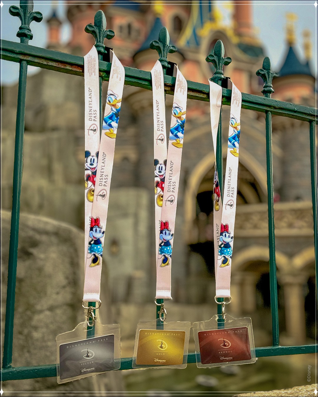 offre renouvellement disneyland pass