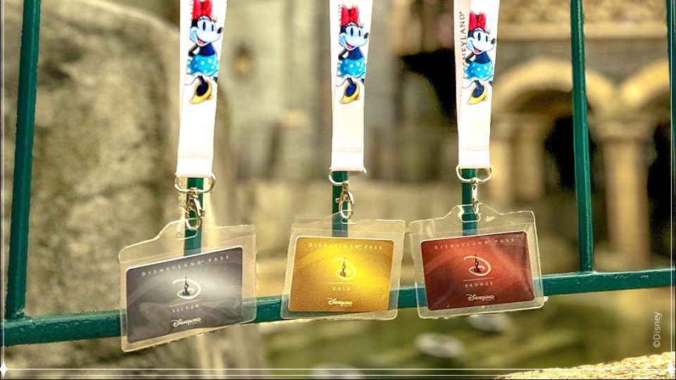 offre renouvellement disneyland pass 01