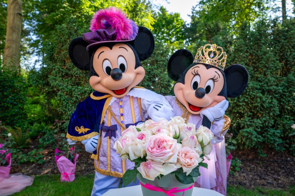 rose disneyland hotel