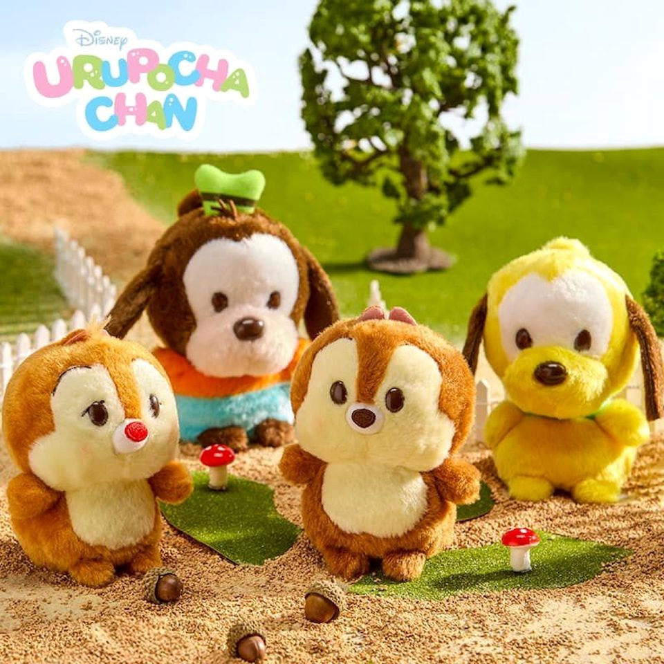 urupocha-chan dingo