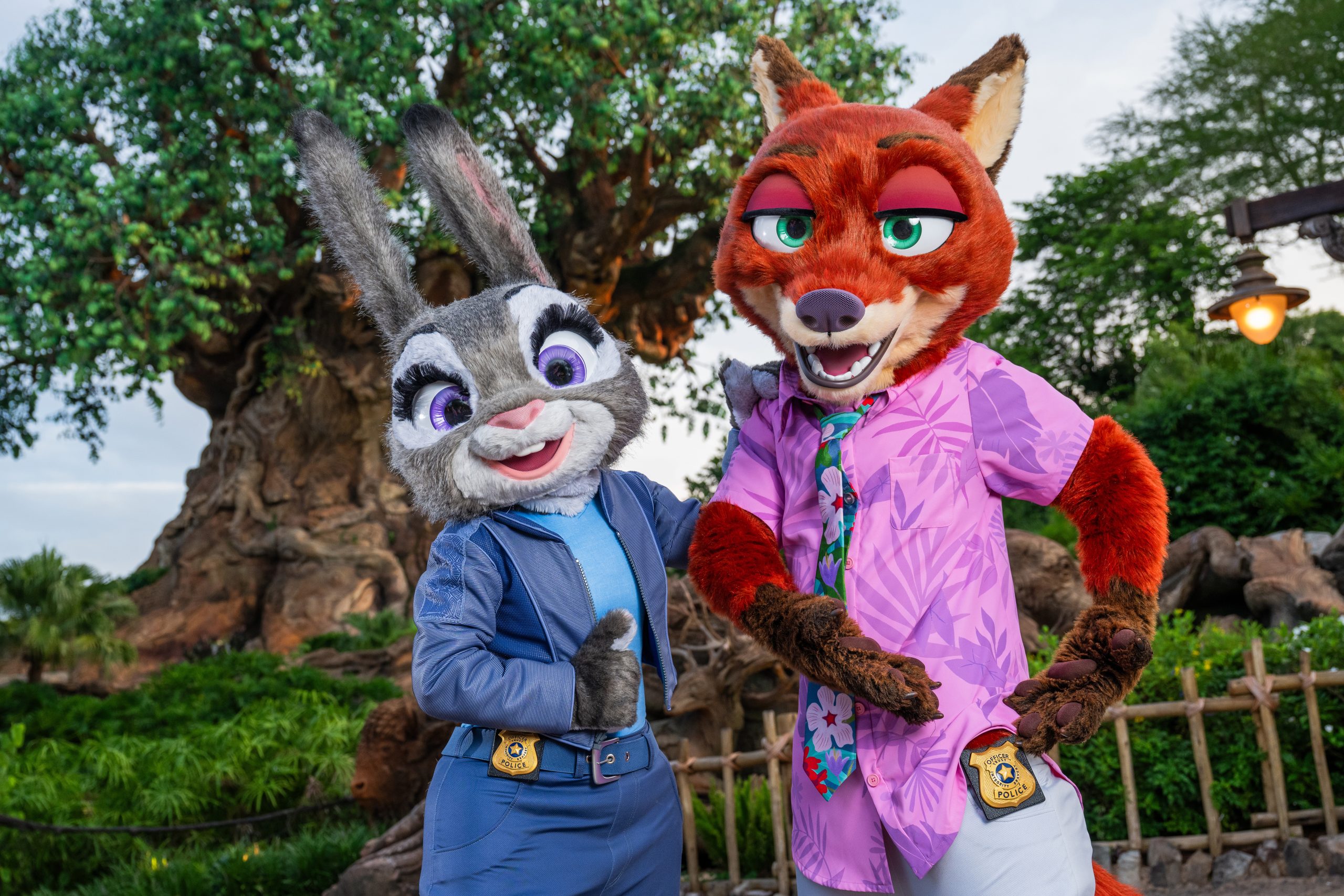 judy nick parcs