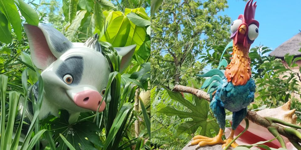 pua hei hei vaiana adventureland