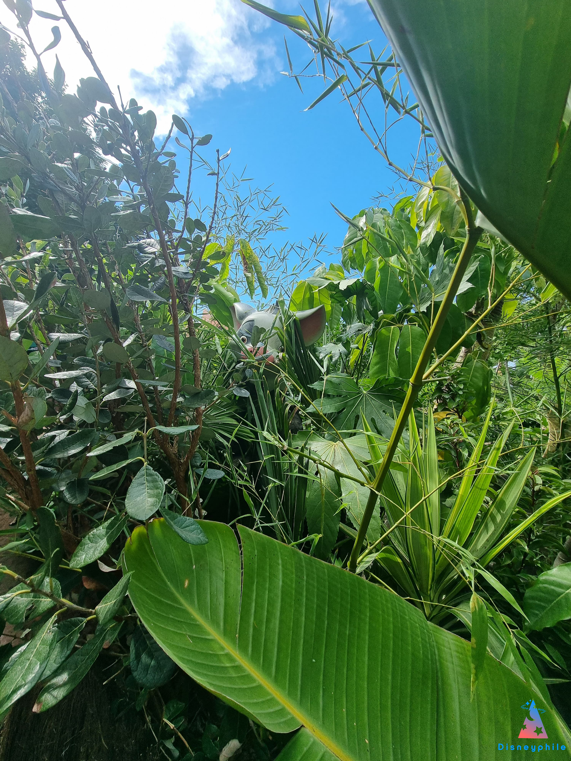 pua hei hei vaiana adventureland