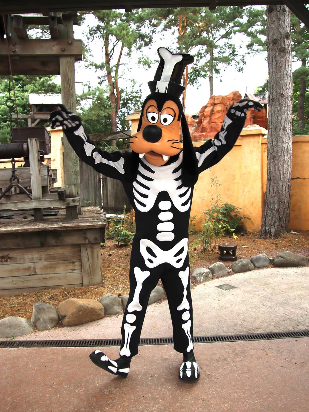 rencontres personnages disneyland paris