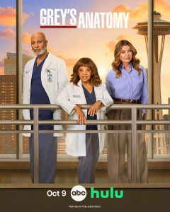 greys anatomy season 22 poster