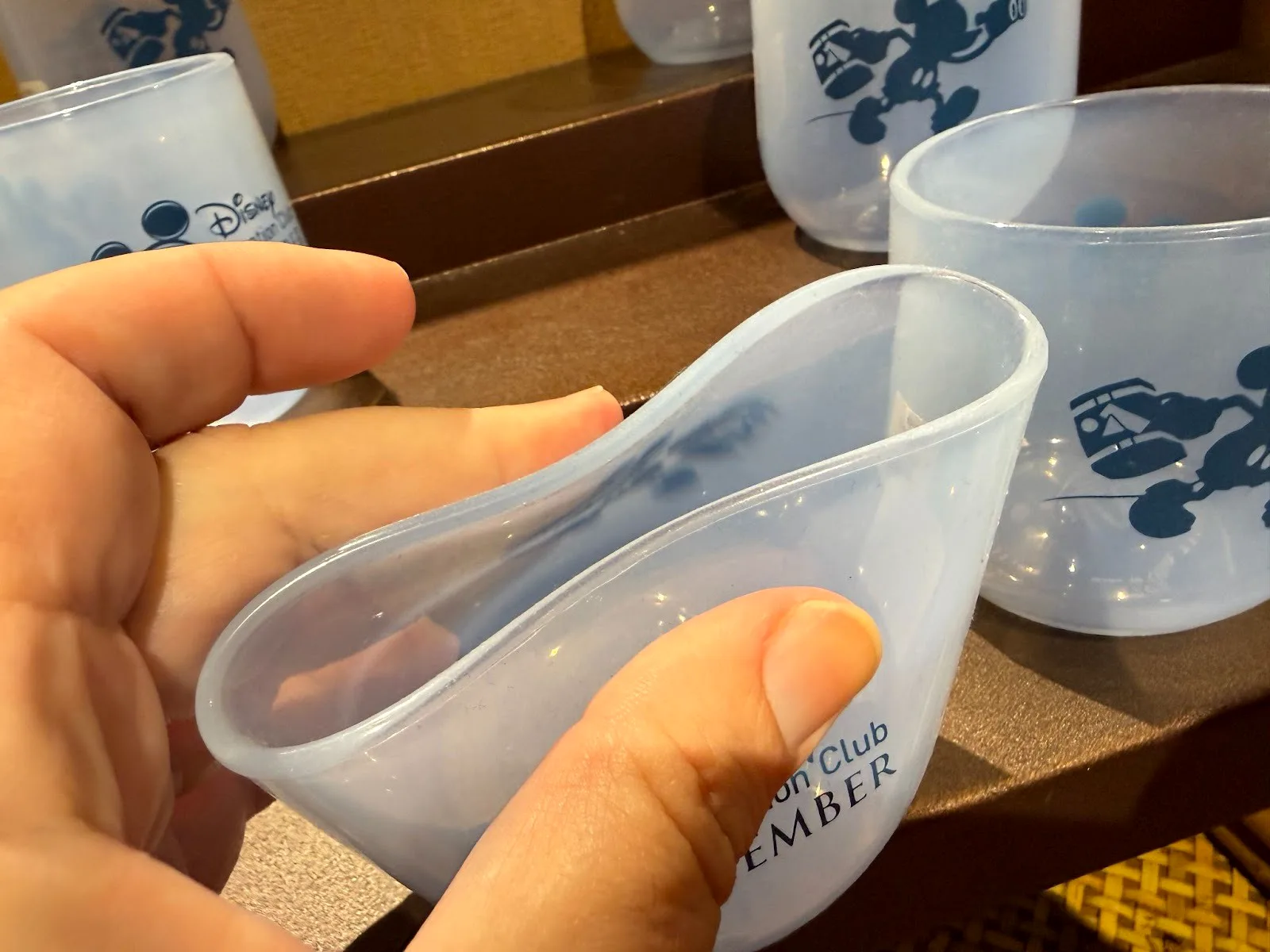 merchandise disney vacation club