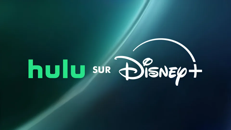 hulu disney+