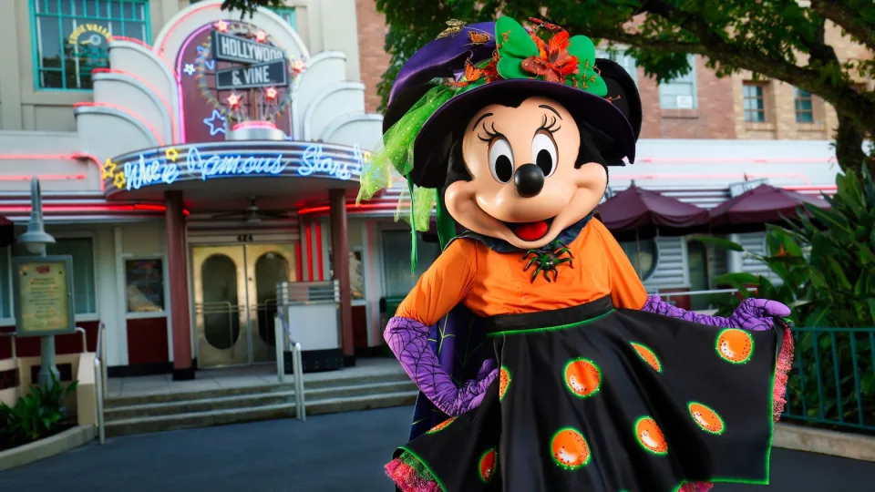 minnie Hollywood & Vine