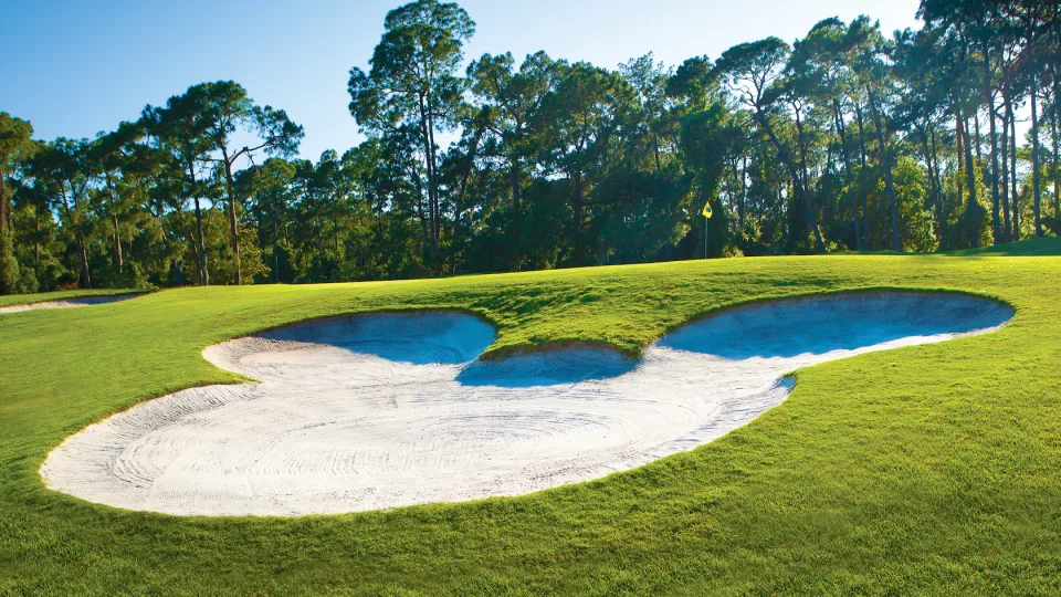walt disney world golf 2026